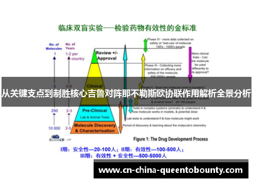从关键支点到制胜核心吉鲁对阵那不勒斯欧协联作用解析全景分析