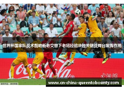 世界杯国家队战术前瞻新老交替下老将经验决胜关键战舞台发挥作用